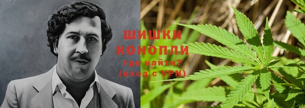 трава Пересвет