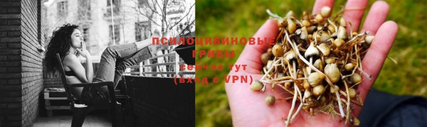 не бодяженный Покачи