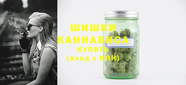 2c-b Пестово