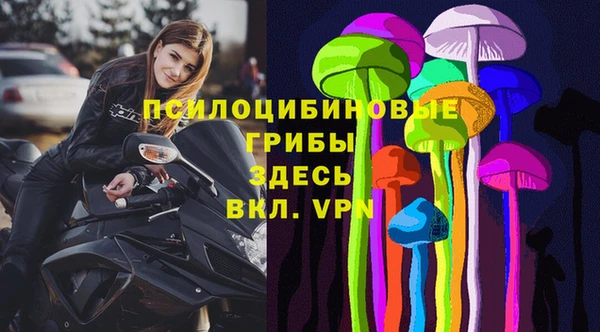 бошки Хадыженск