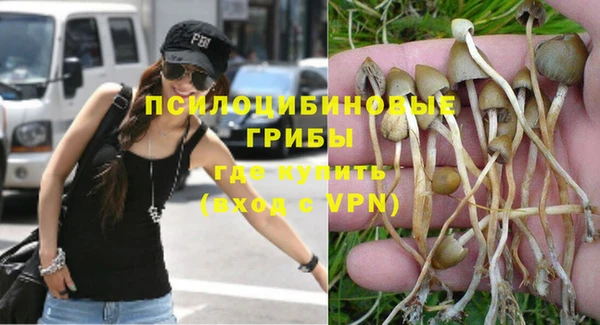 трава Пересвет