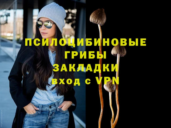 трава Пересвет