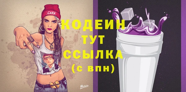 2c-b Пестово