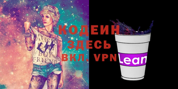 2c-b Пестово