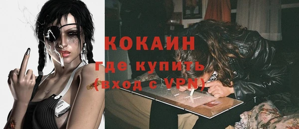трава Пересвет