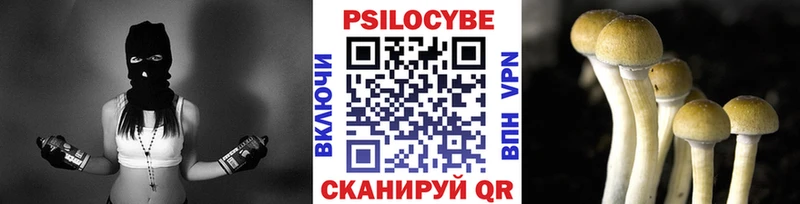 KRAKEN зеркало  Старая Купавна  сайты даркнета Telegram  Псилоцибиновые грибы GOLDEN TEACHER 