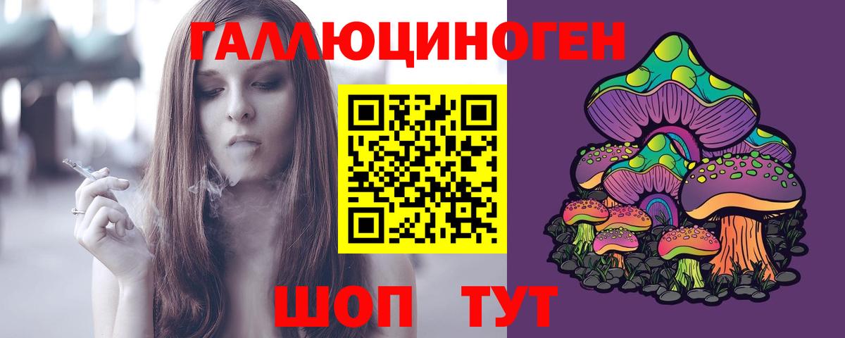 Псилоцибиновые грибы Psilocybine cubensis Старая Купавна